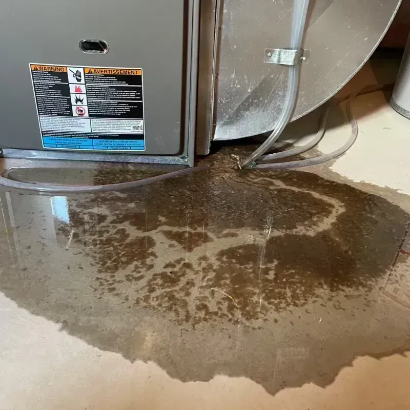 Appliance Leak Cleanup in Preston, GA